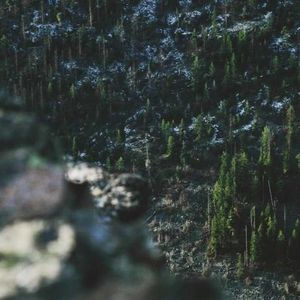 Meet your Posher, Gilbert